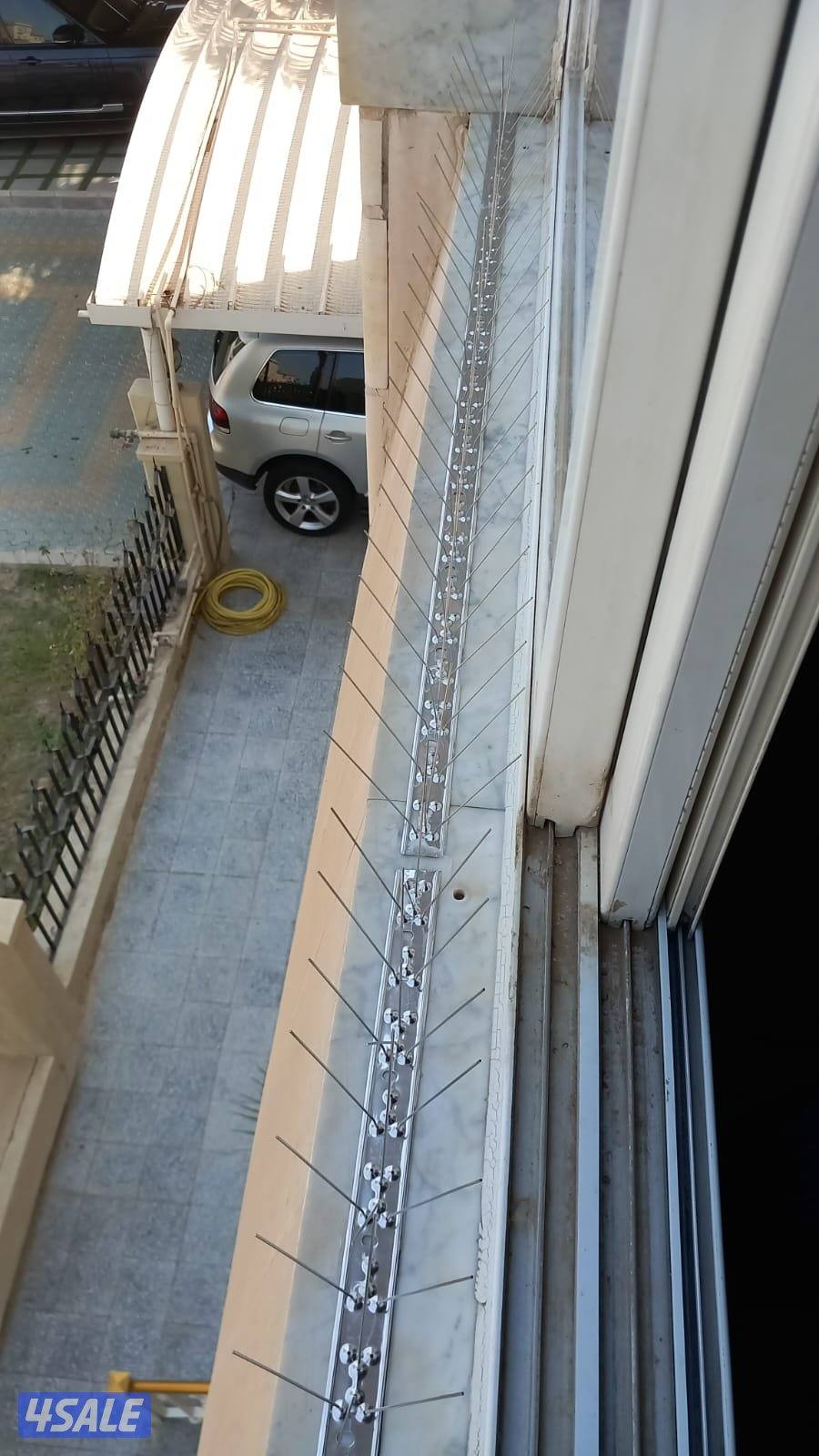 طارد الحمام3