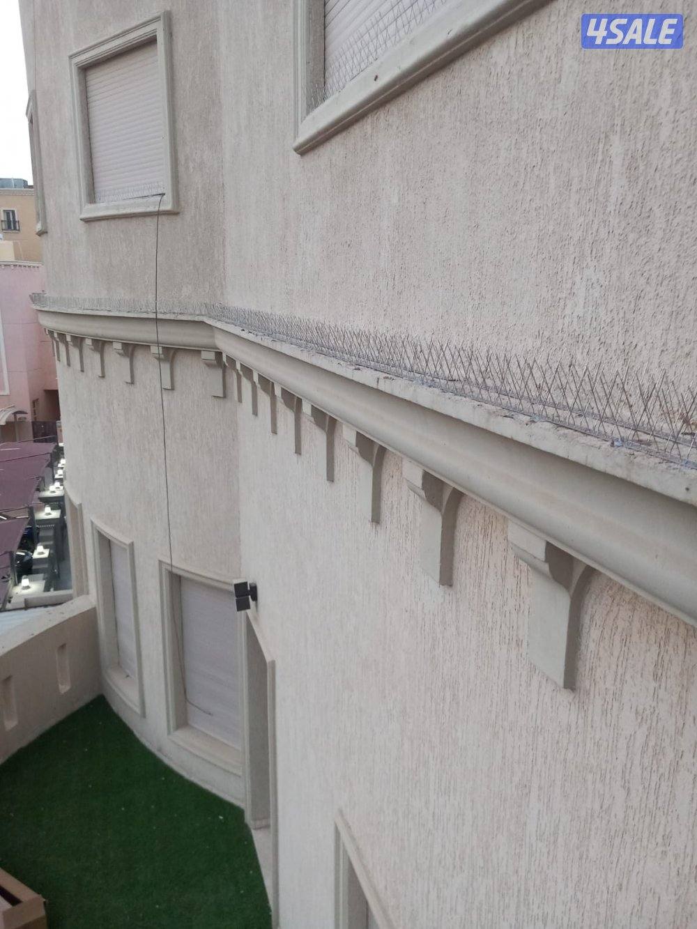 طارد الحمام4