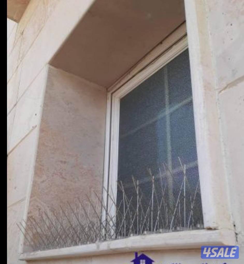 طارد الحمام7