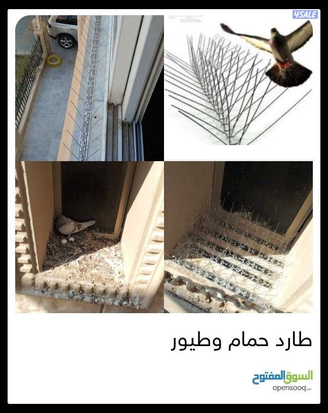 طارد الحمام8