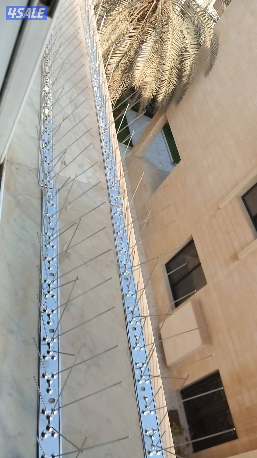 طارد الحمام10