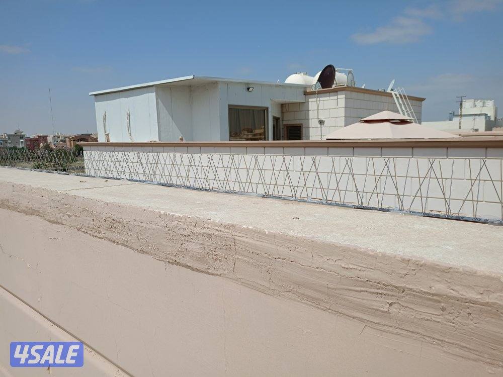 طارد الحمام11