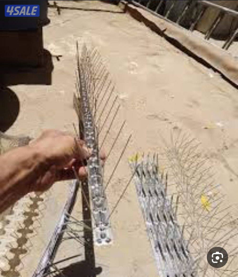 طارد الحمام12