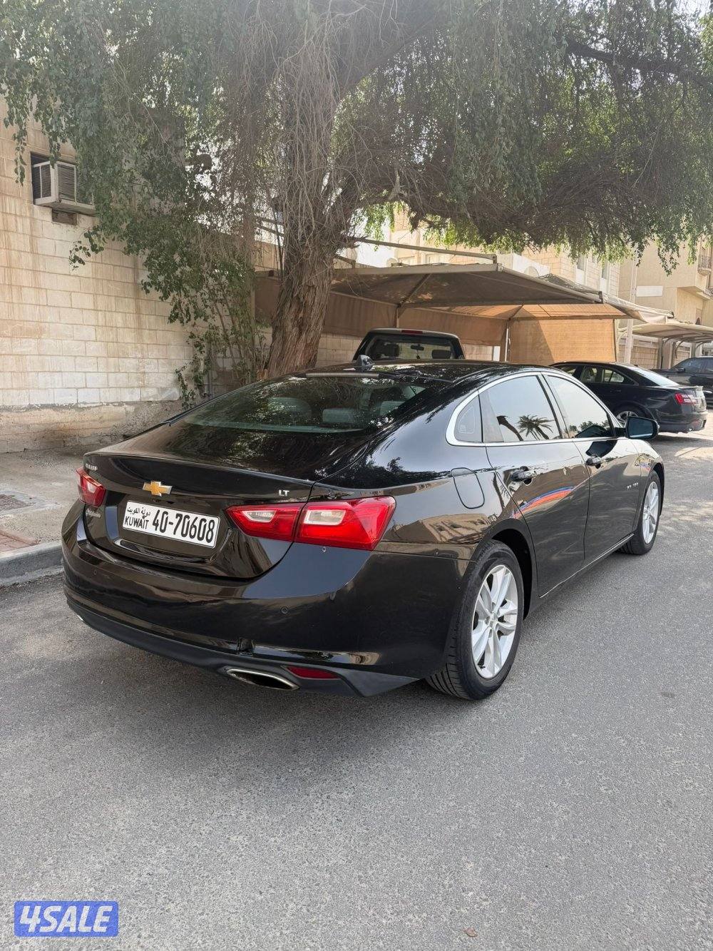 صبغ الوكاله2