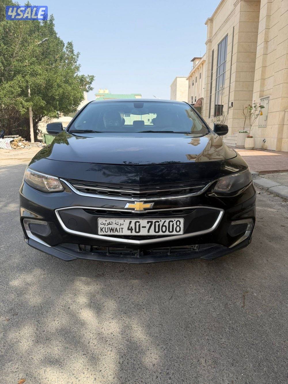 صبغ الوكاله3