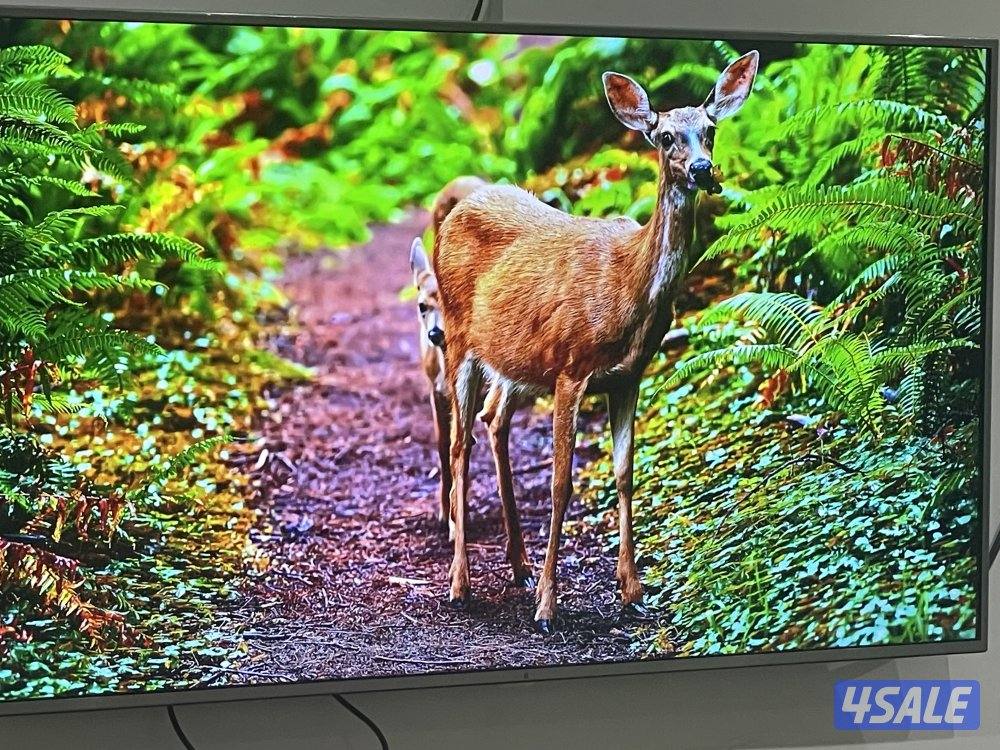 تلفزيون LG Super 4K Premium 550