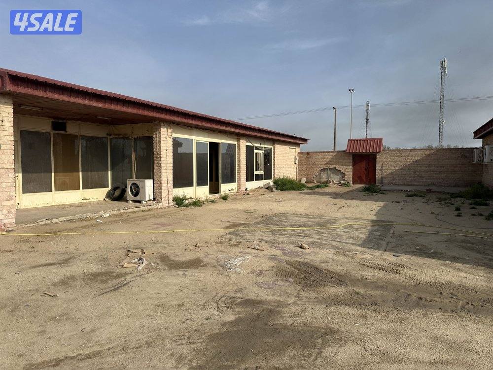 للإيجار جاخور لأصحاب الحلال واستثمار المواشي على الشارع العام قطعة 80