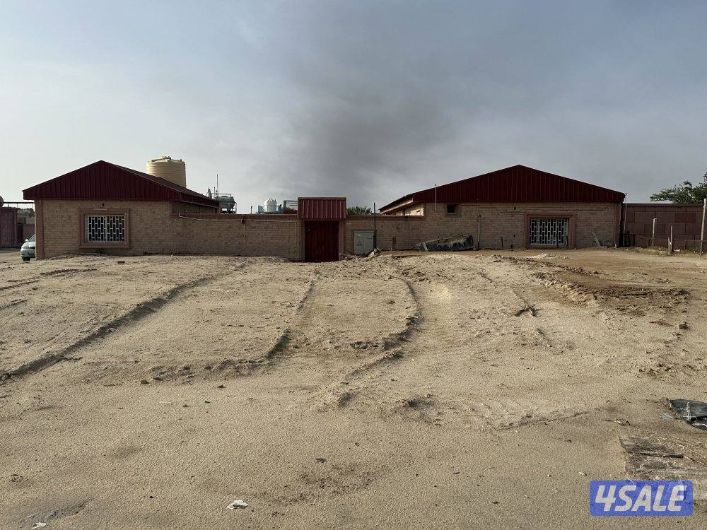 للإيجار جاخور لأصحاب الحلال واستثمار المواشي على الشارع العام قطعة 84