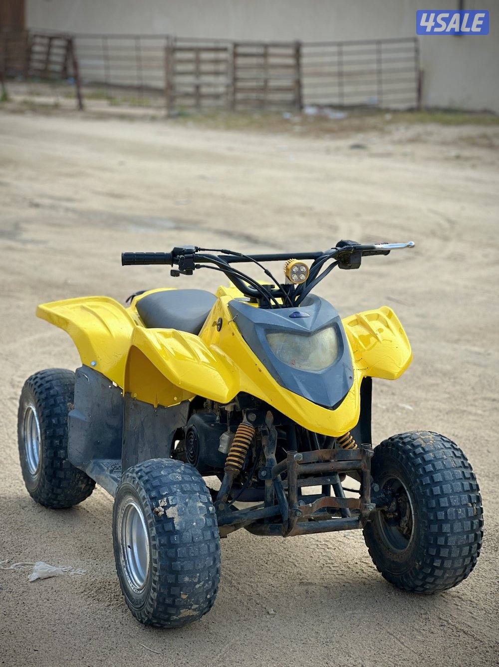50 CC Amiri Buggy0