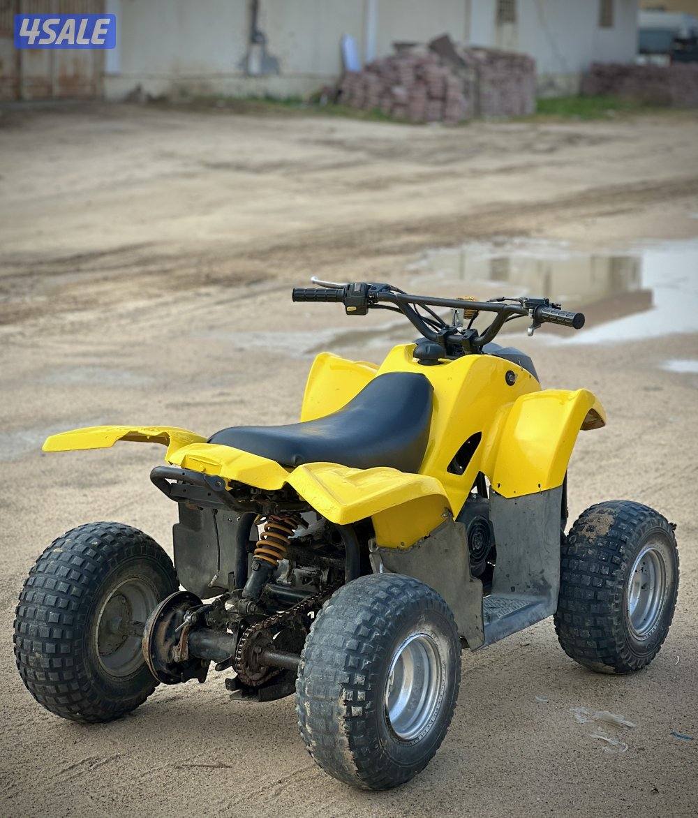 50 CC Amiri Buggy3