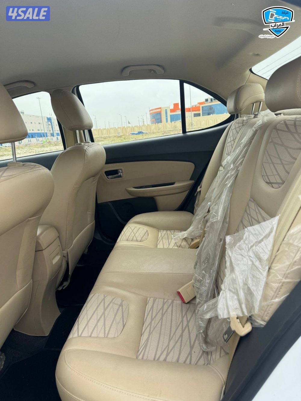 شيري أريزو6