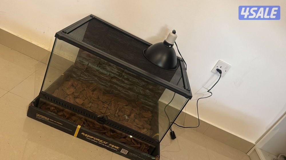 للبيع بول بايثون المواصفات بالاعلان3