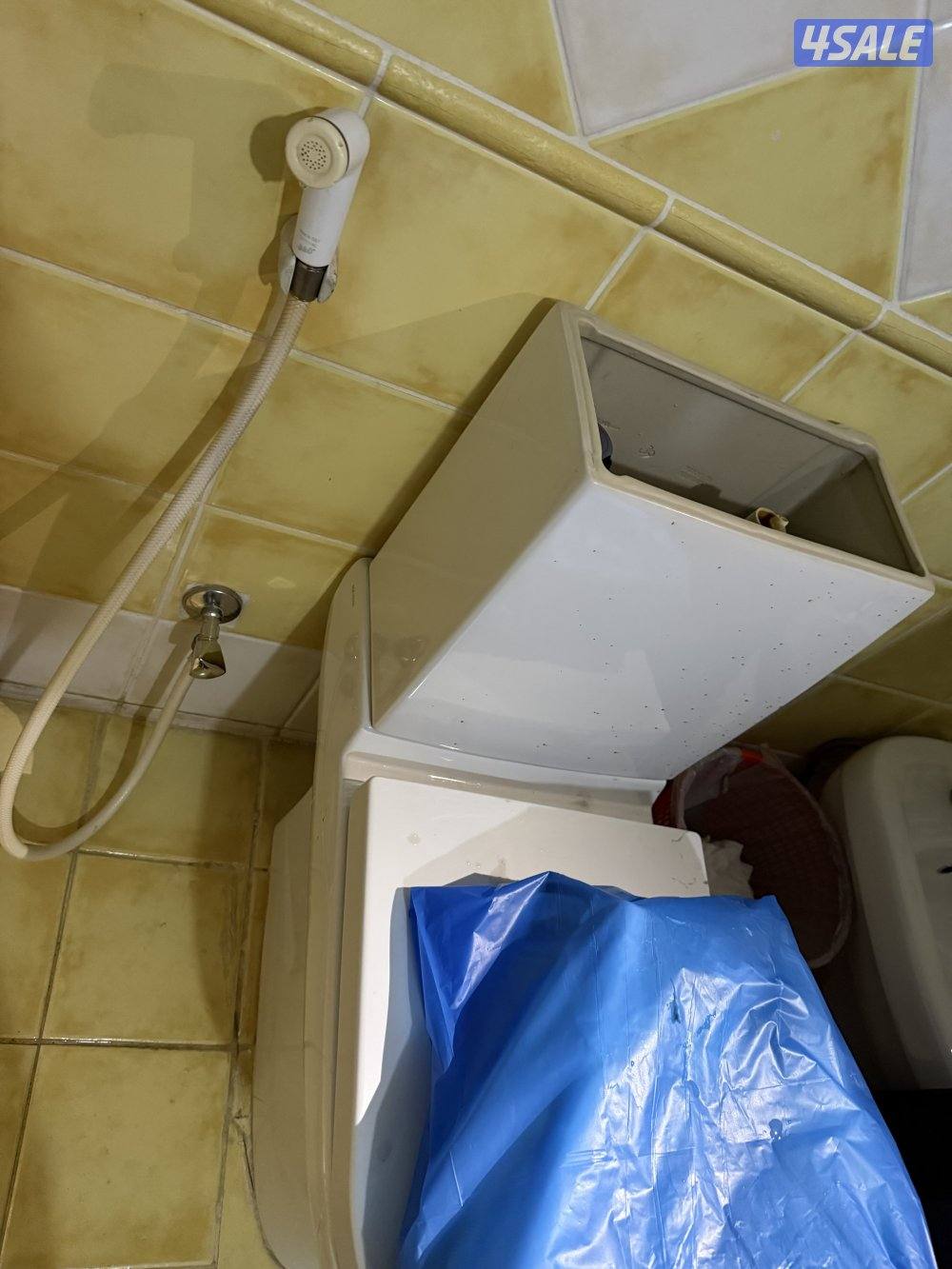 ابو علي فني صحي1