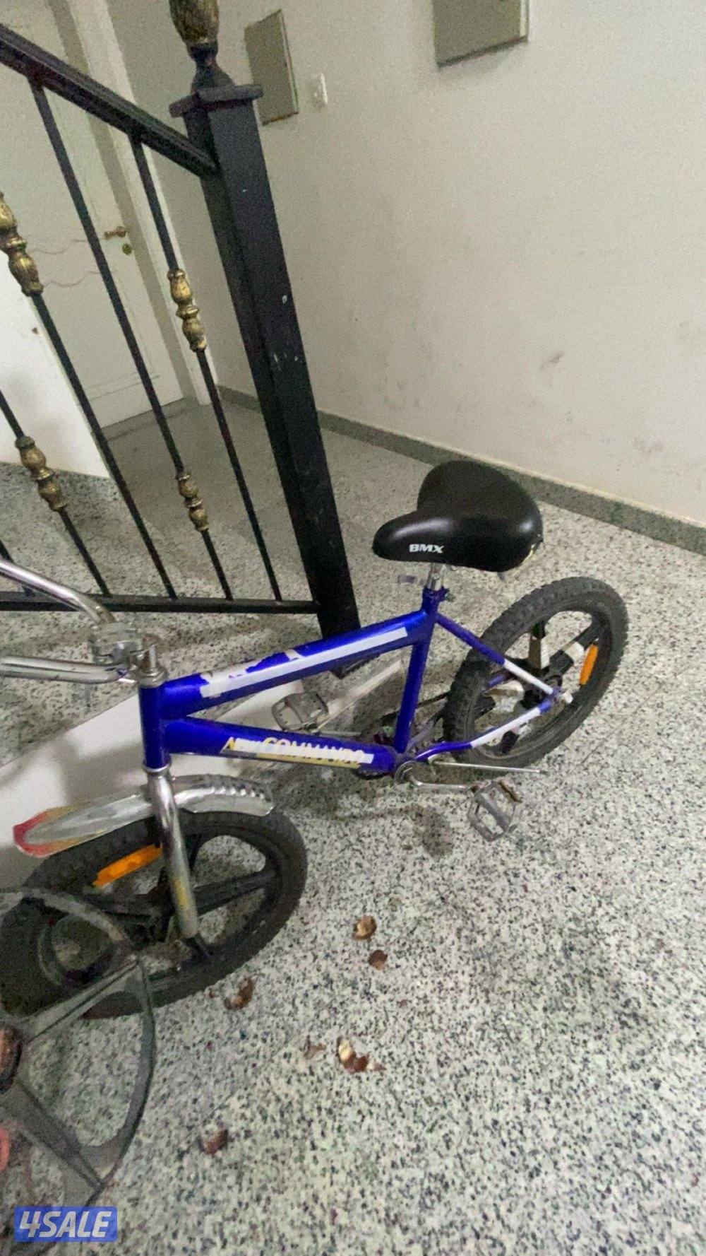 قاري أبو نجمه نضيف مافي شي يبلاش0