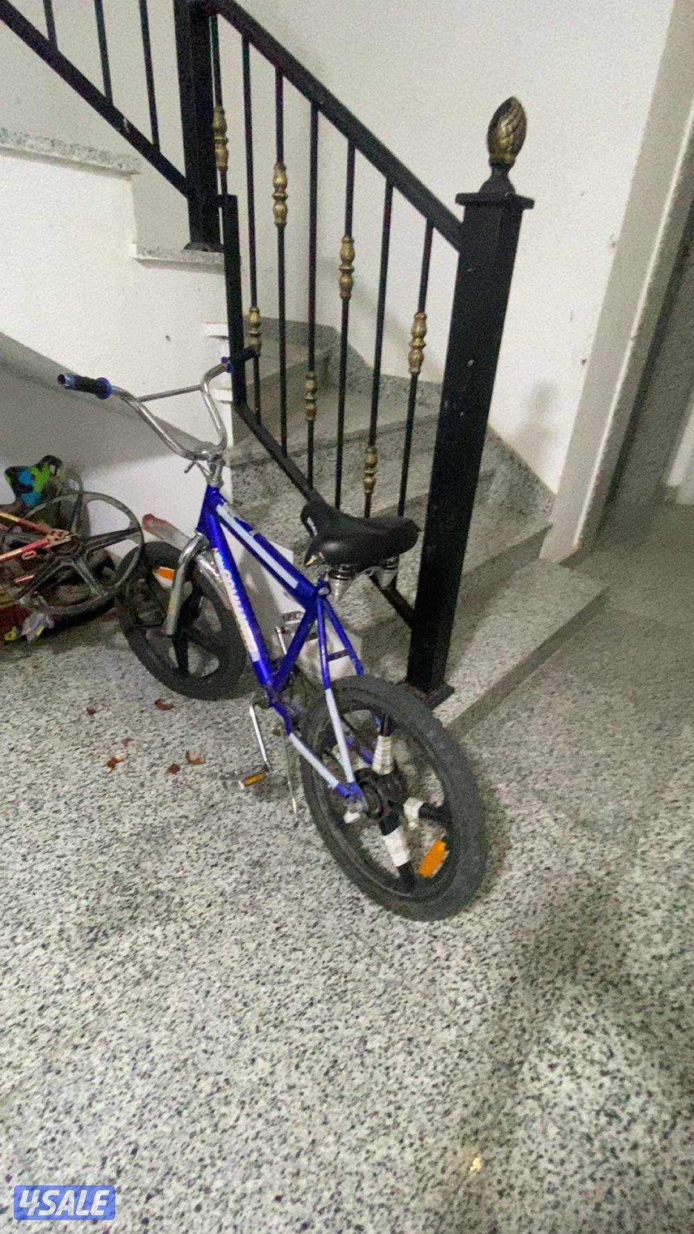 قاري أبو نجمه نضيف مافي شي يبلاش1