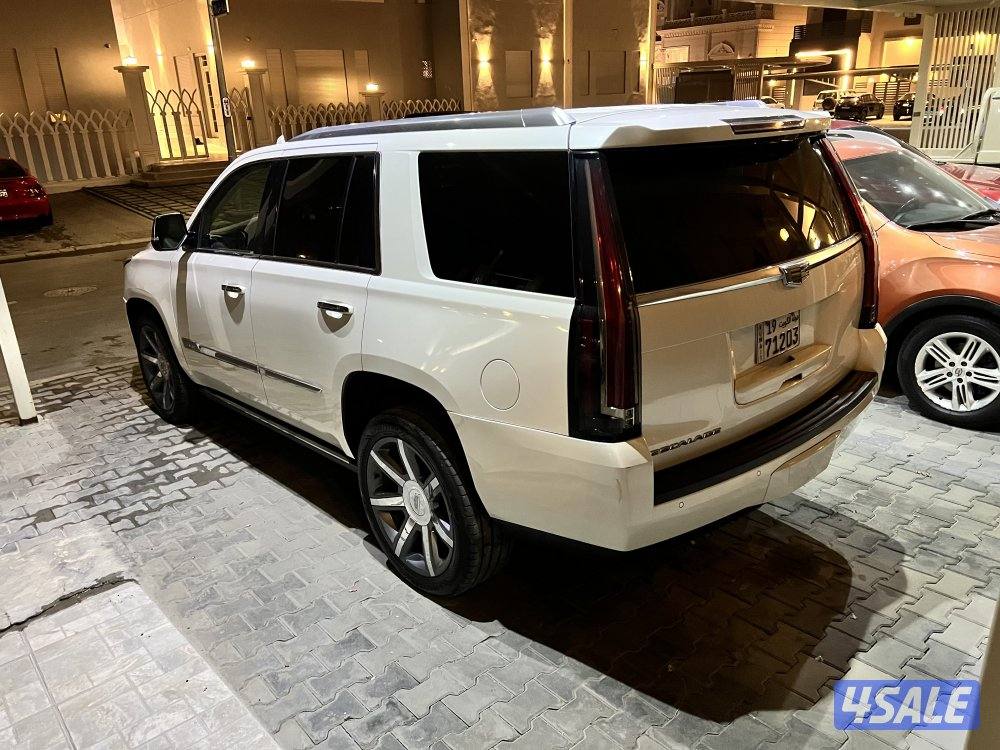 للبيع جيب كدلك إسكاليد موديل 2015 ابيض5