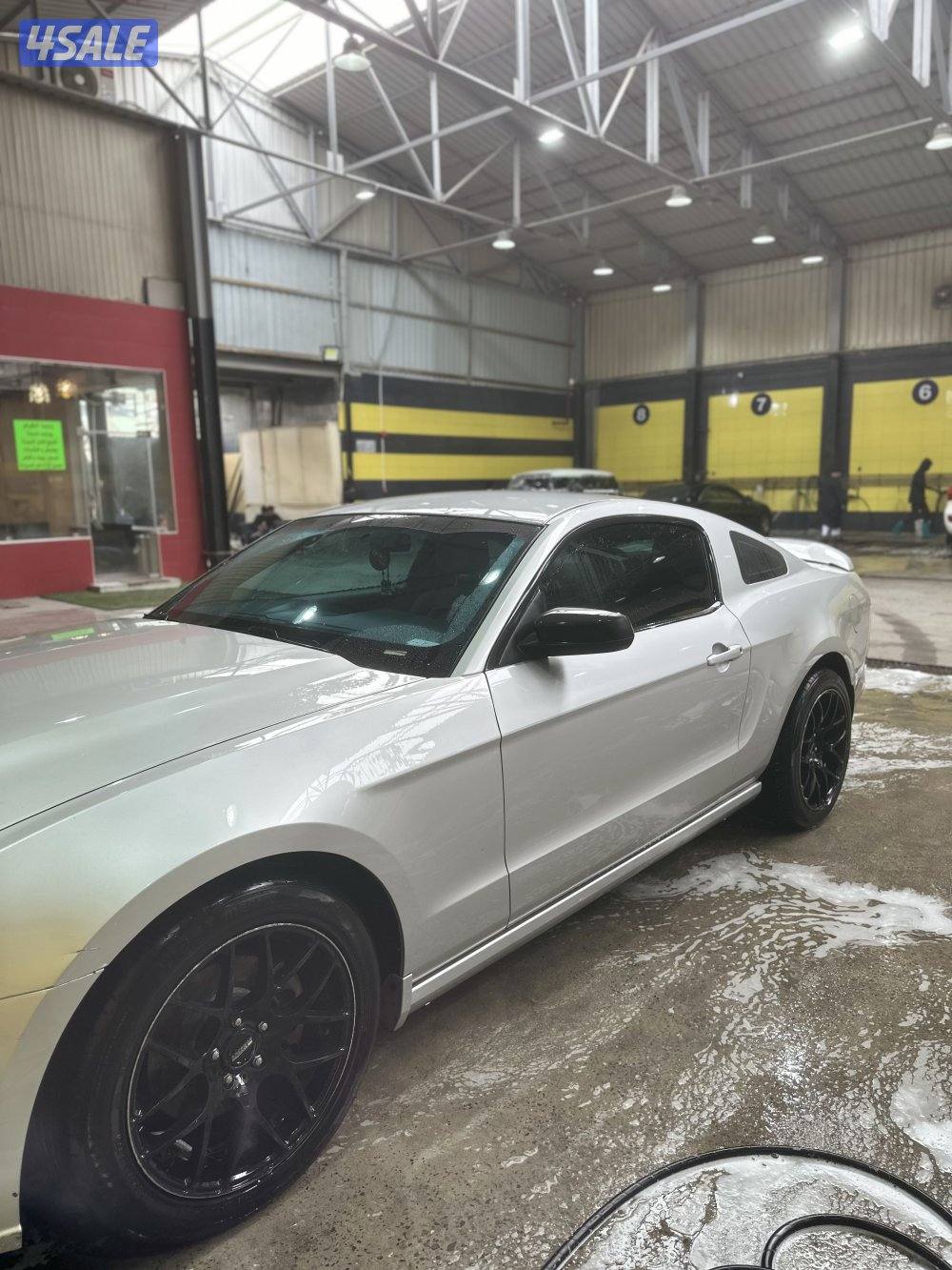 موستنج 6 سلندر شرط الفحص5