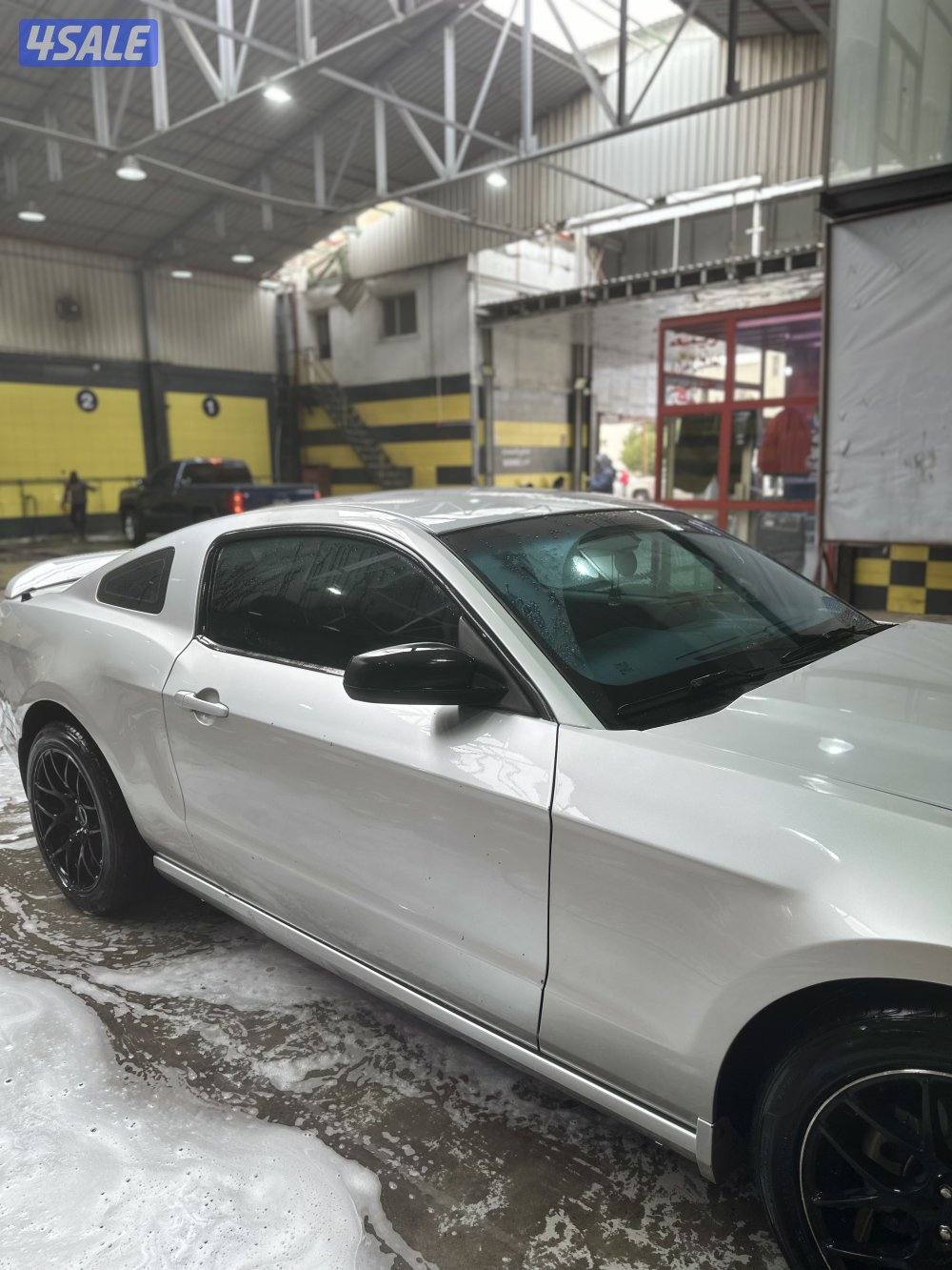 موستنج 6 سلندر شرط الفحص8