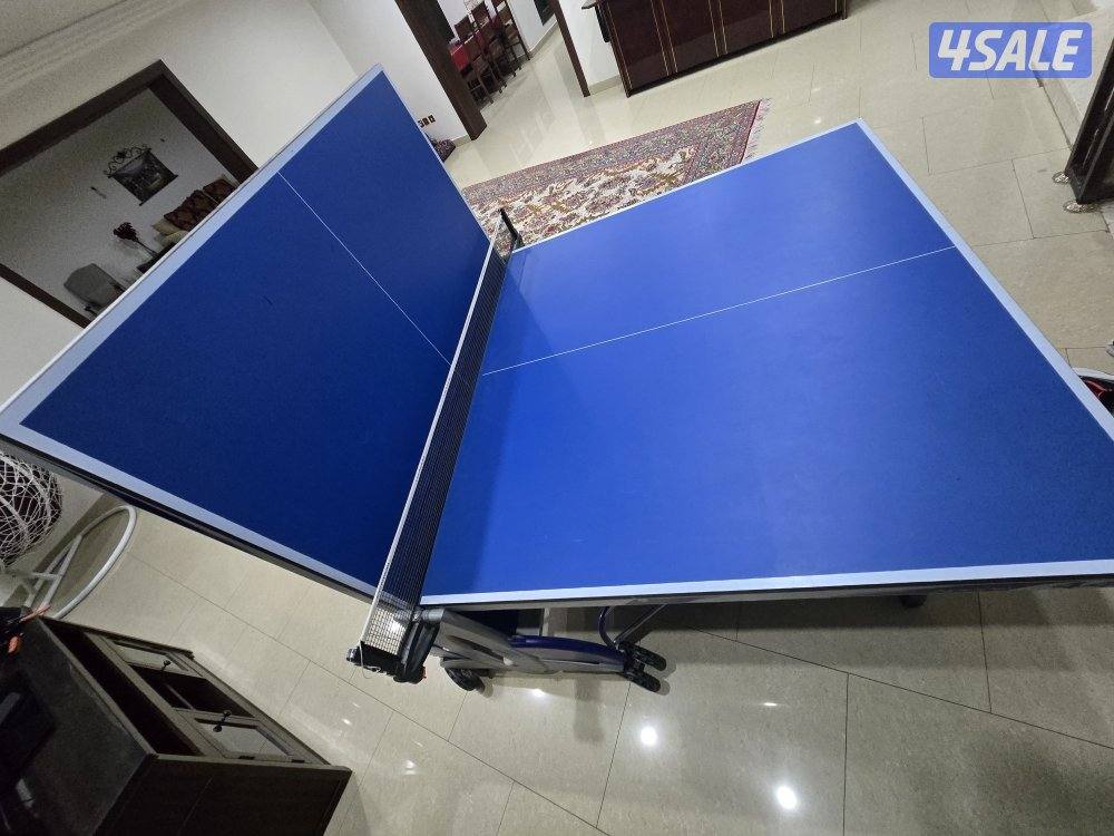 Cornilleau table tennis2