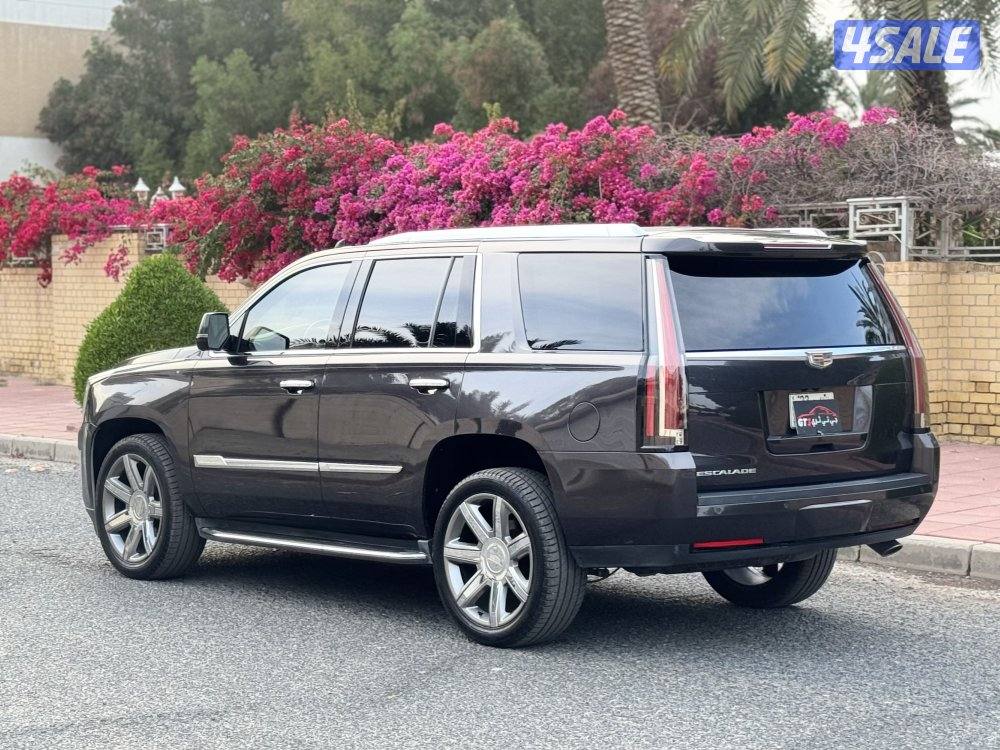 اسكاليد ٢٠١٦4