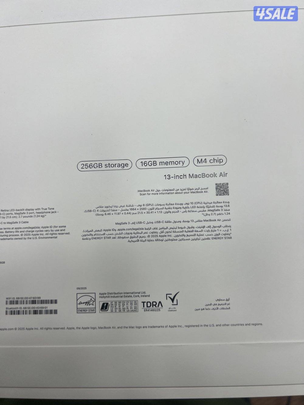 حولي ابن خلدون0