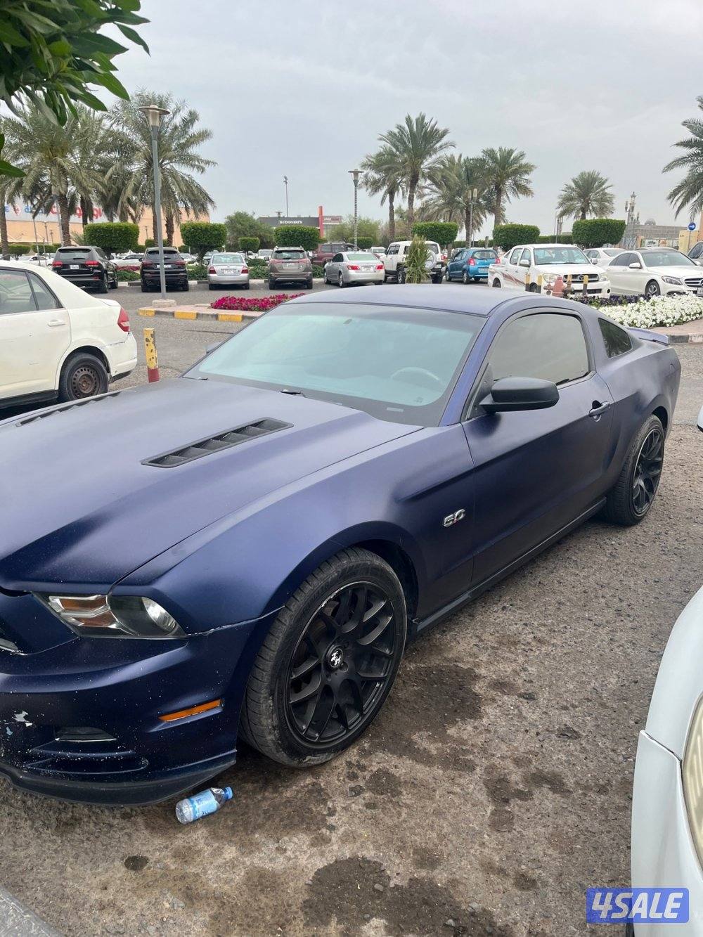 موستينق ٢٠١٢ ماشي ١٤٠ ميل 6سلندر2