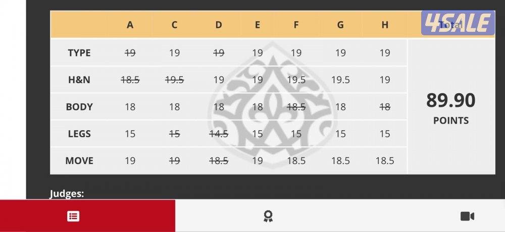 مهره شو مصريه . تواصل واتس2