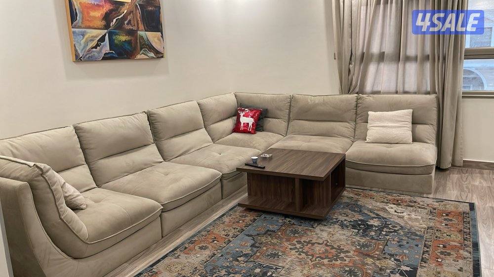 غسيل بالشامبو - تنظيف ناشف - غسيل سجاد برادي - اثاث - كنفات - شقق - فل12