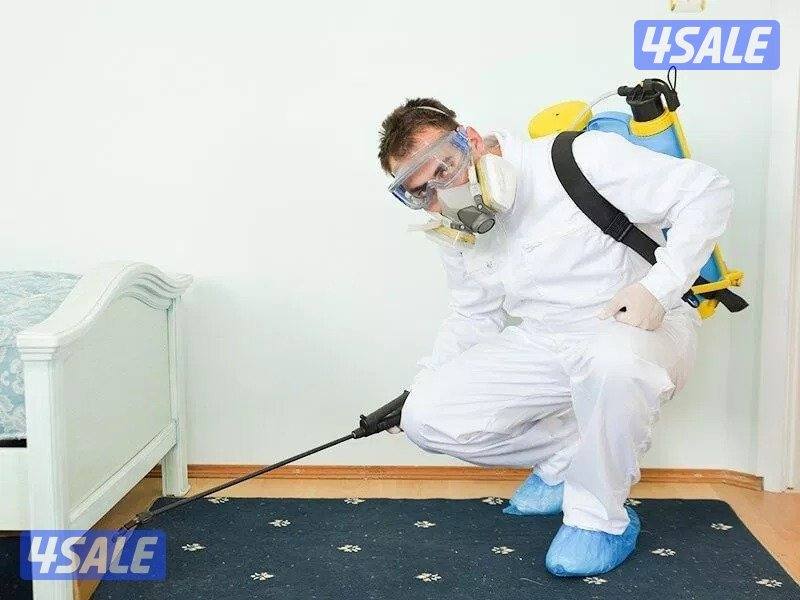 مكافحة حشرت وقورض مكافحة صرصير مطابخ مكافحة بق مكافحة فران مكافحة بريع1