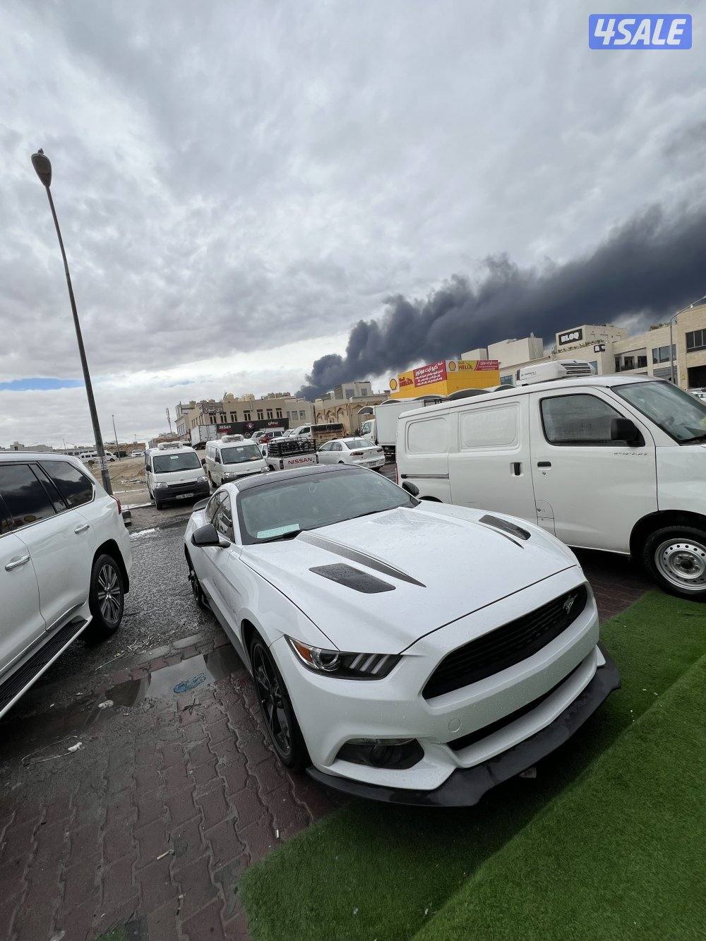 موستنق 5.0 ، موديل 20174