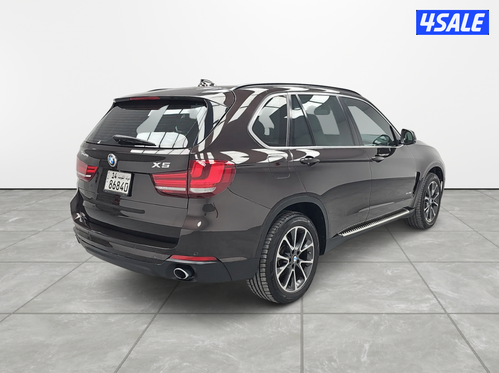 BMW X51
