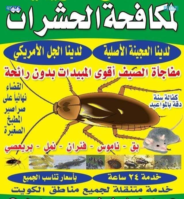 مكافحة حشرت وقورض مكافحة صرصير مطابخ مكافحة بق مكافحة فران مكافحة بريع2