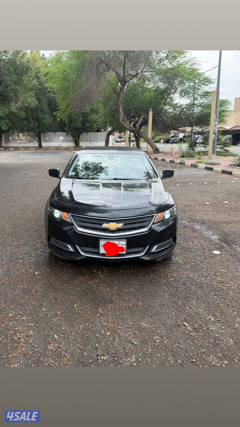 للبيع شفر امبالا0