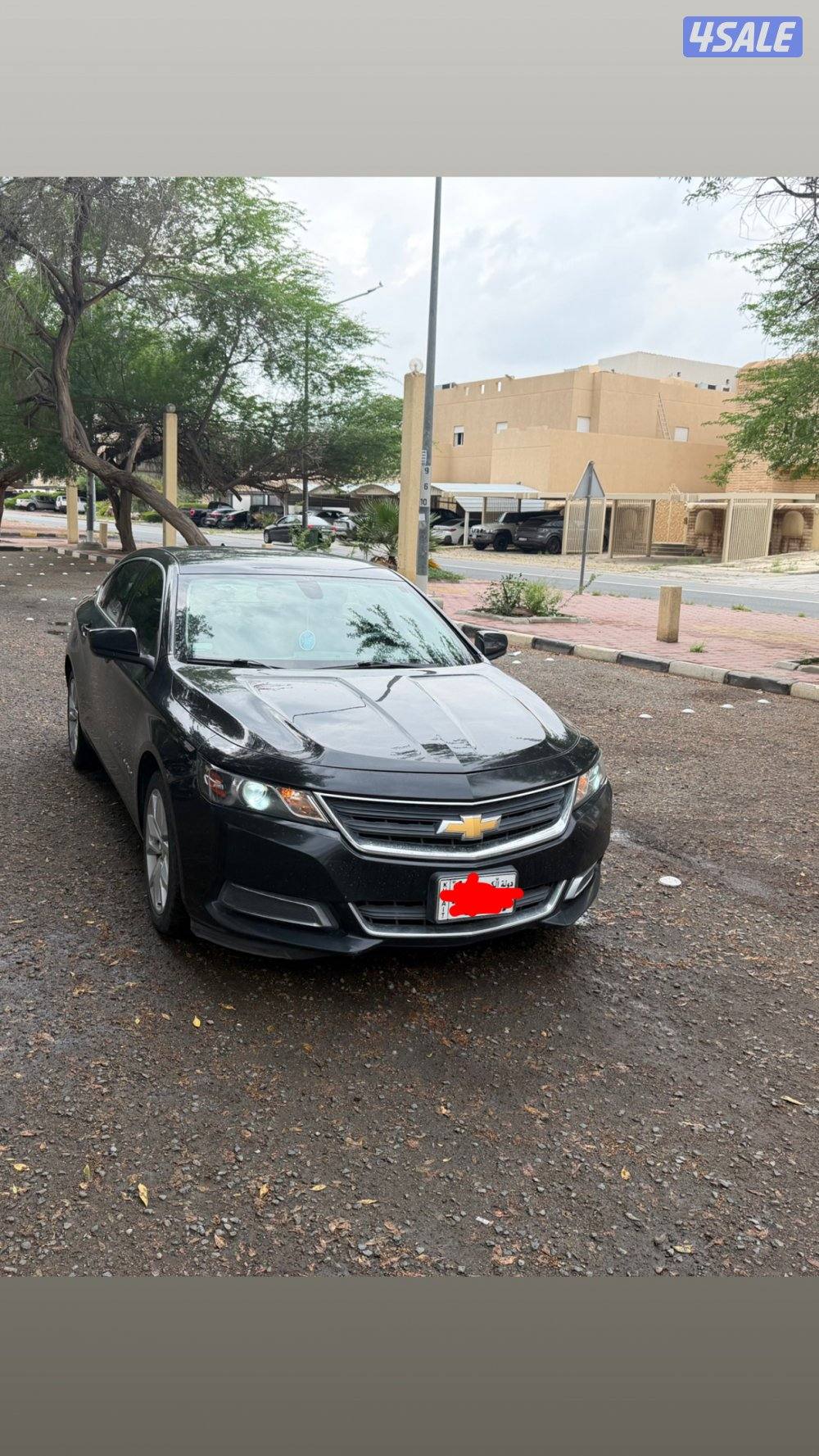 للبيع شفر امبالا1