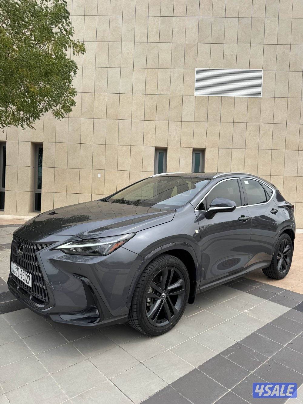 لكزس NX350 موديل 20243