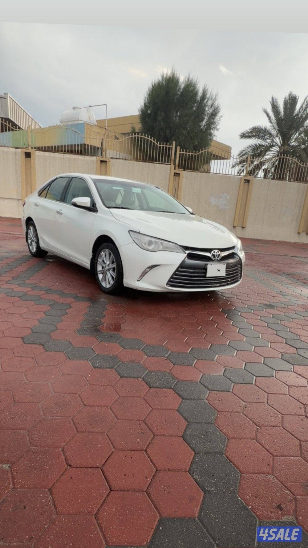 شرررط الفحص واذا فيها شي انا اتحمل فلوس الفحص1