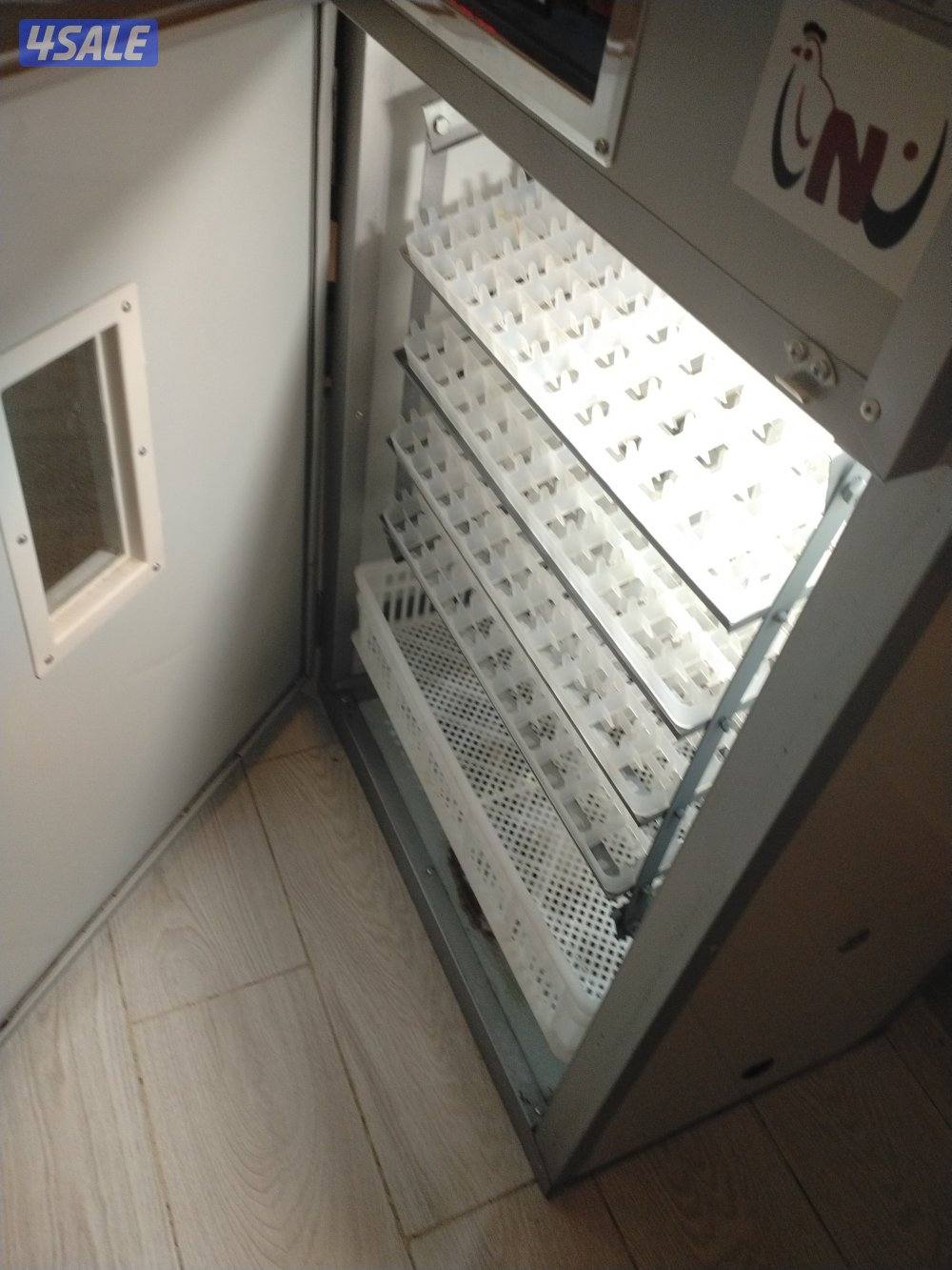 فقاصه نوامي ٣٥٢ بيضه  تواصل واتس اب فقط3