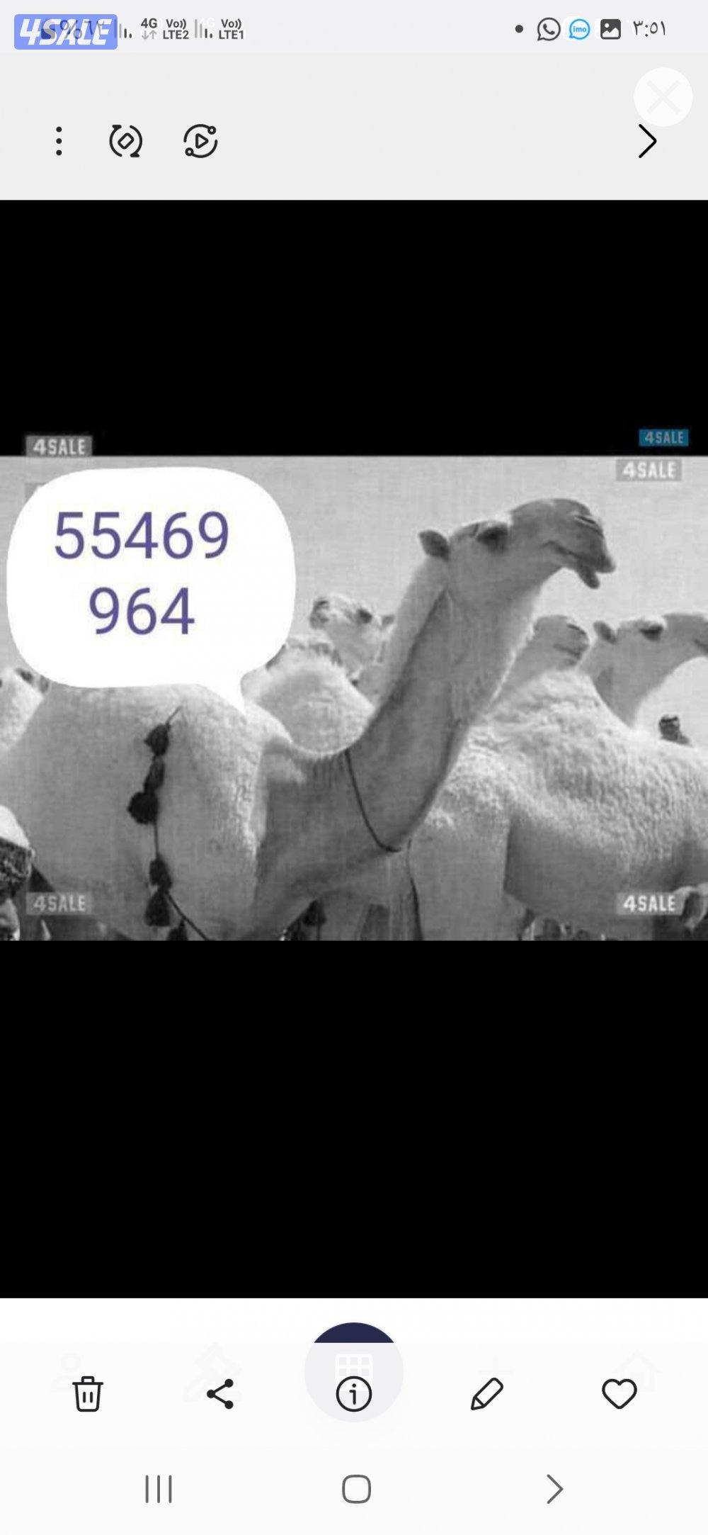 حلاقه وغسيل الابل0