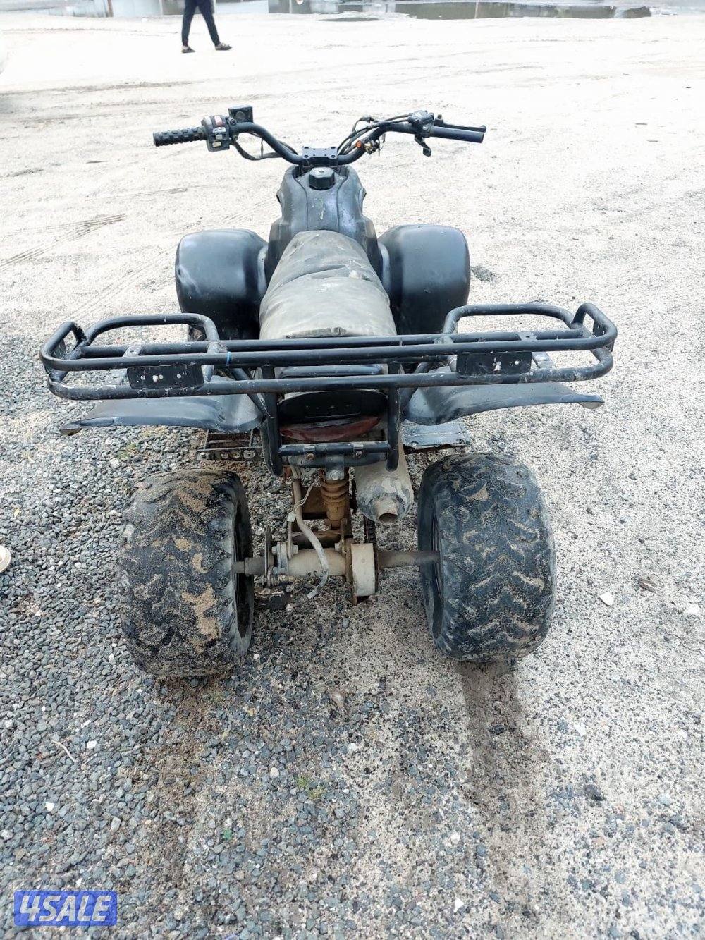 تايواني حجم ١٠٠1