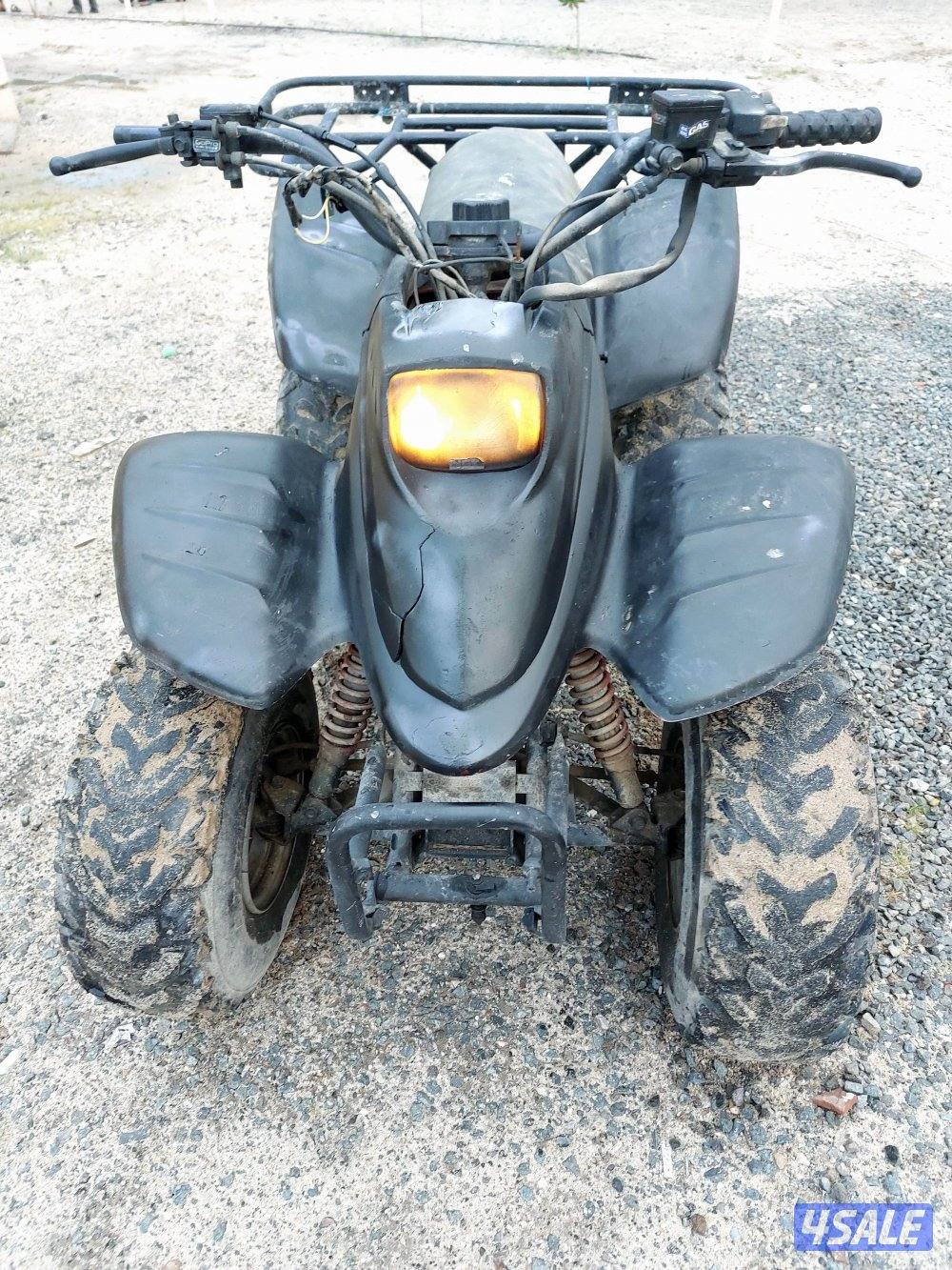 تايواني حجم ١٠٠2