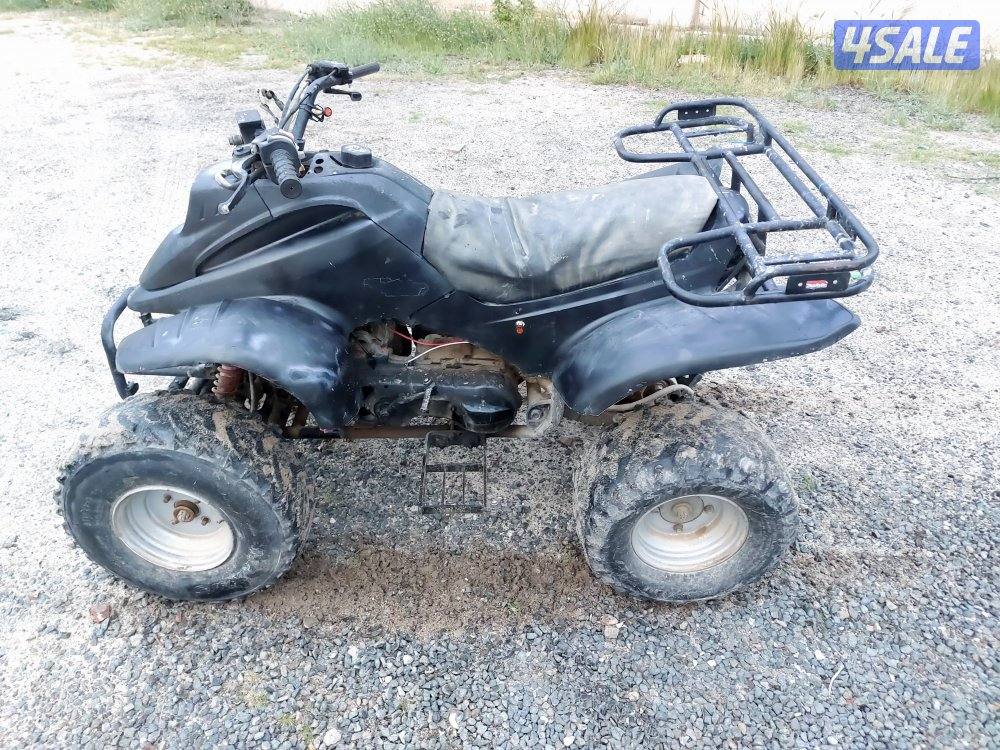 تايواني حجم ١٠٠3