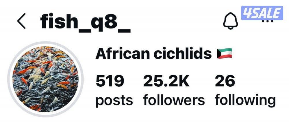 للبيع اسماك زينه انتاج الكويت  🇰🇼10