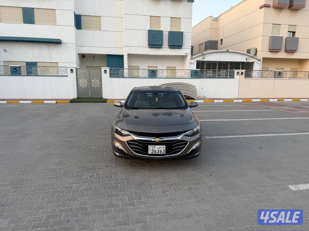 صبغ الوكالة1