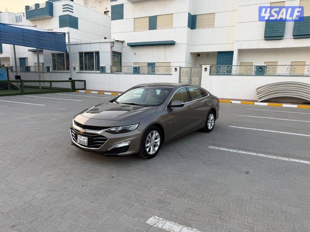 صبغ الوكالة2