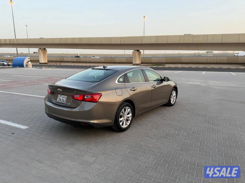 صبغ الوكالة4