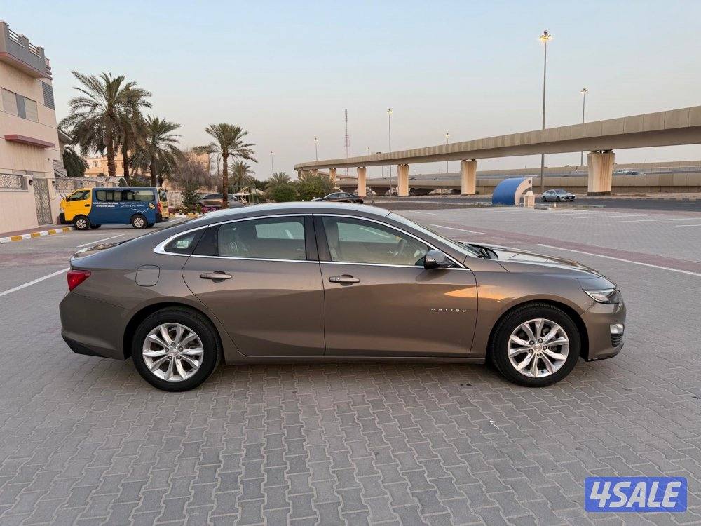 صبغ الوكالة3