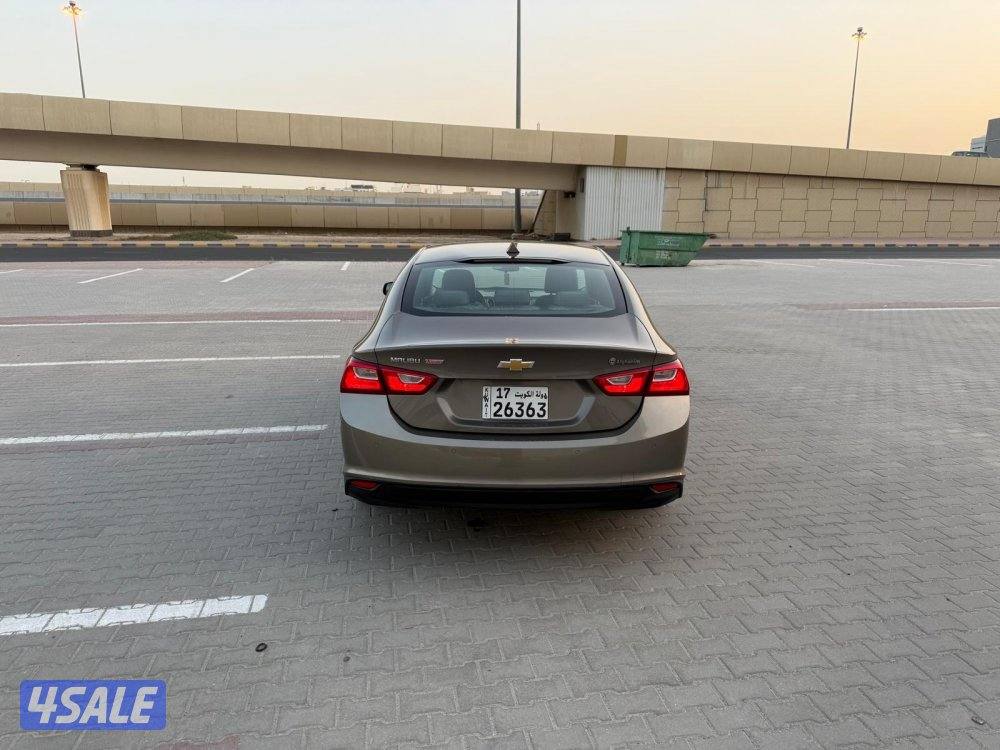 صبغ الوكالة6