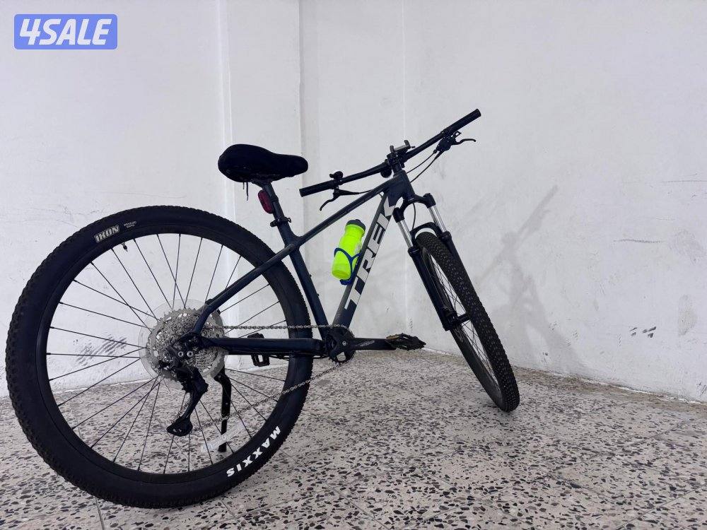 صباح الناصر3