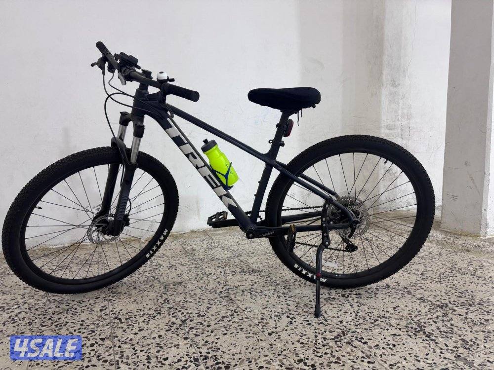 صباح الناصر2