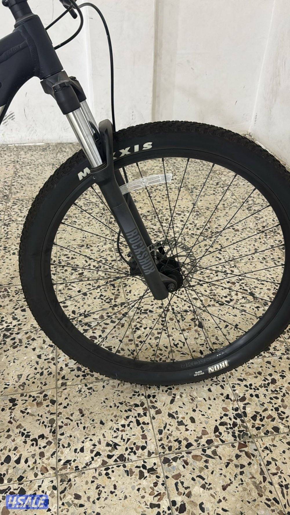 صباح الناصر5